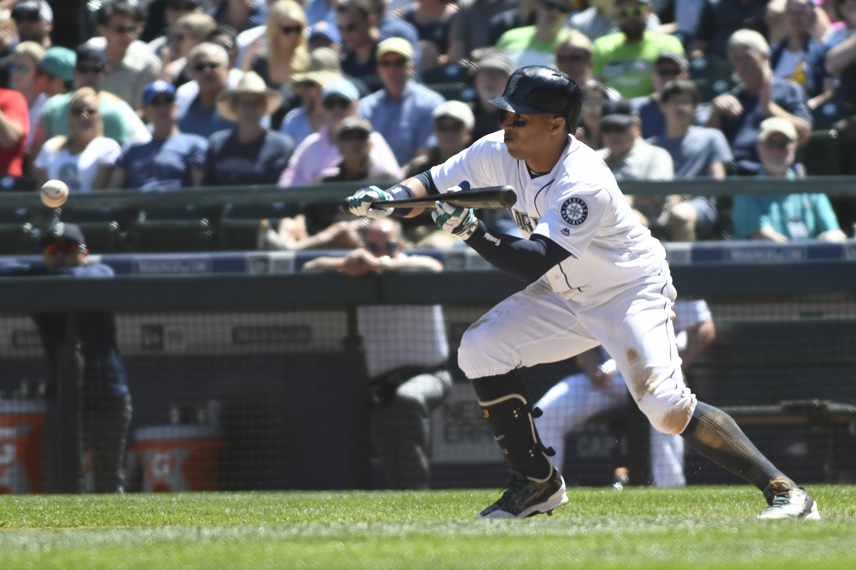 Leonys Martin Mariners Sportspress Northwest